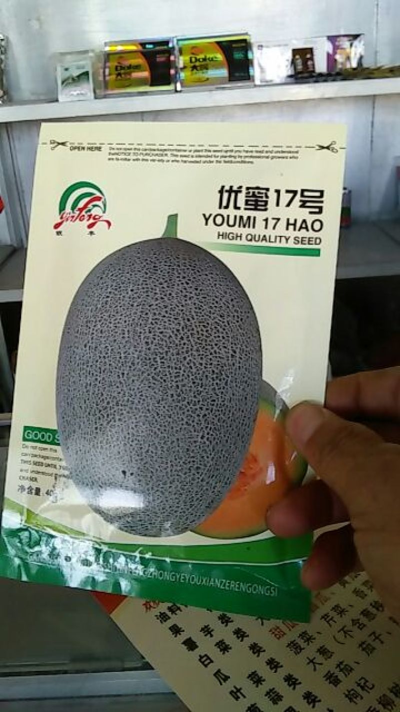 西州蜜瓜3斤以上椭圆形