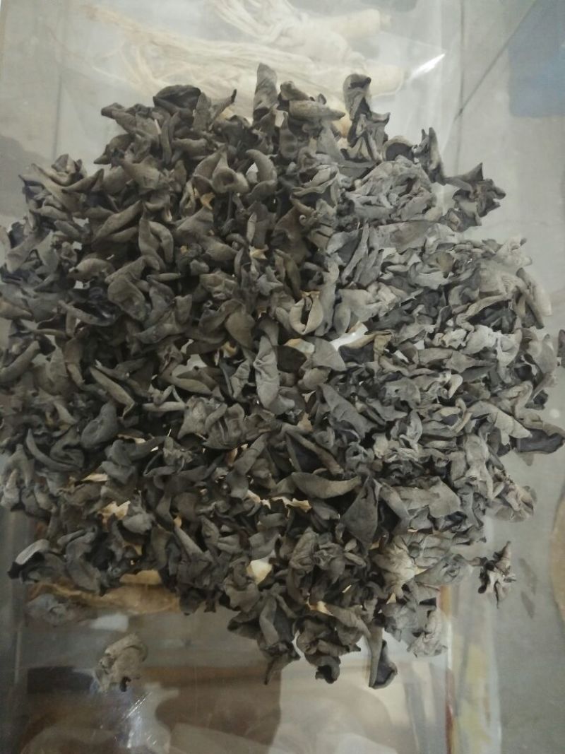 黑木耳一级