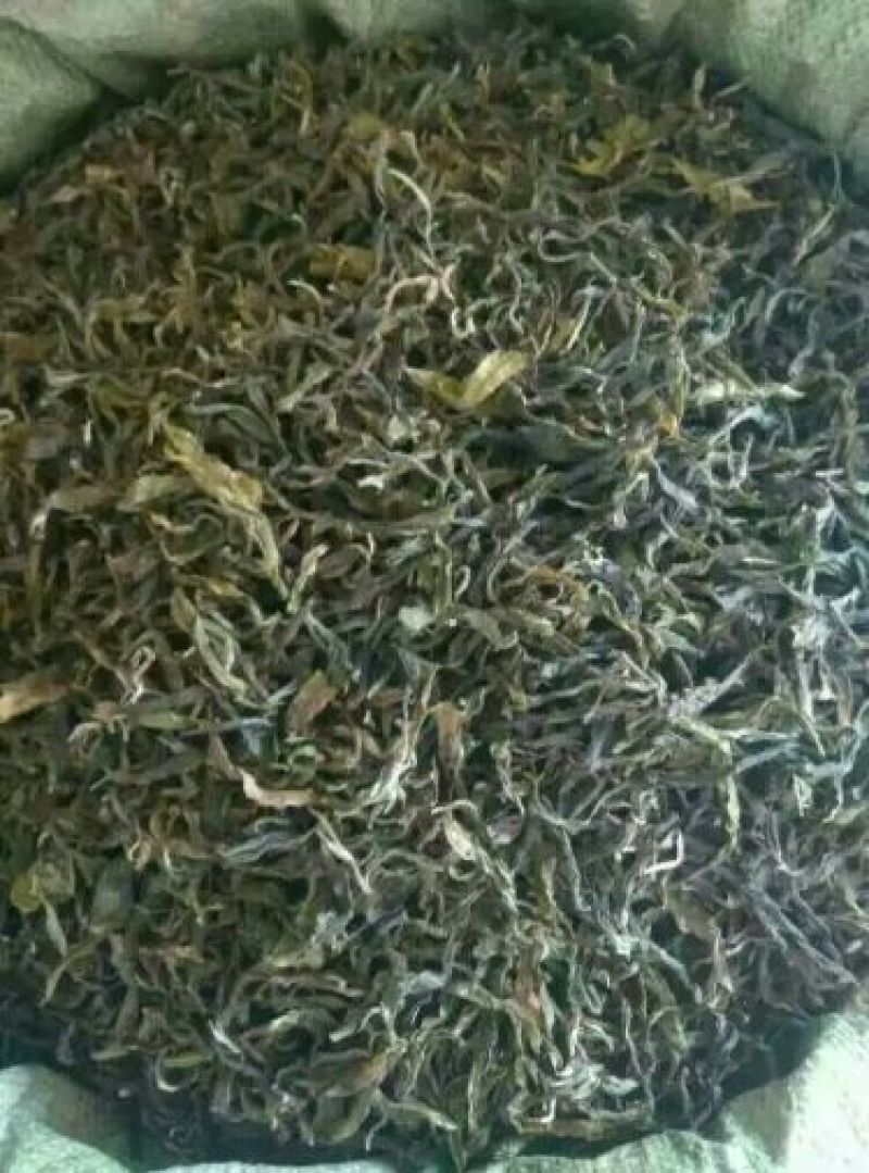古树普洱茶二级
