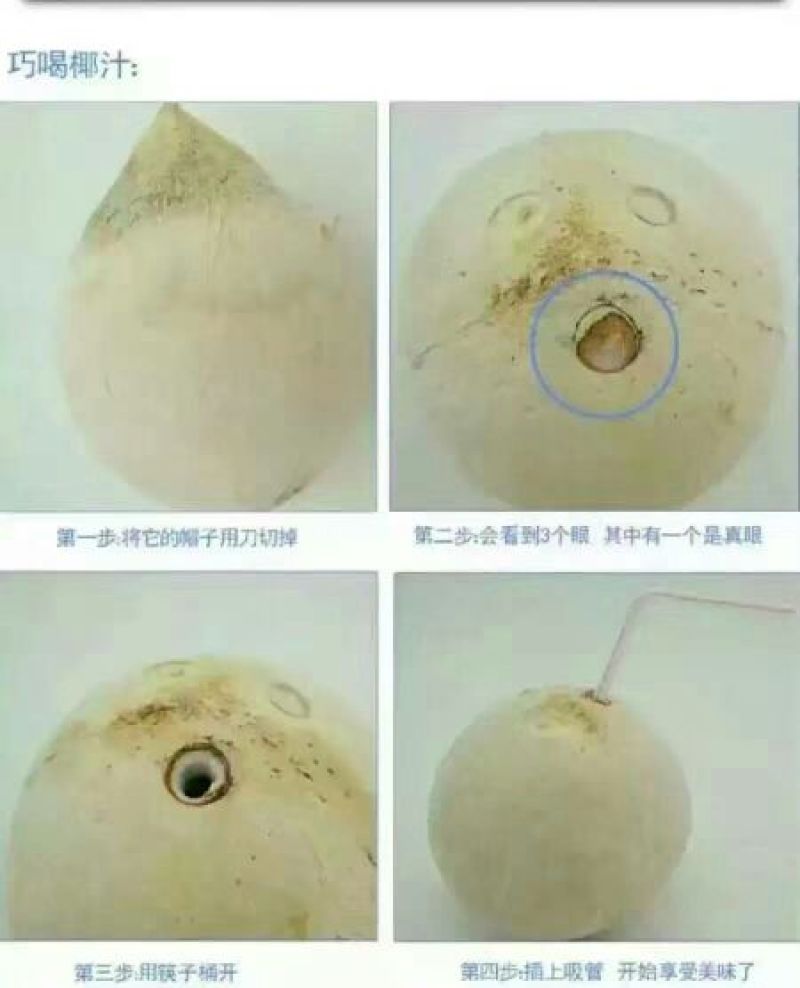 椰子1.5~2斤