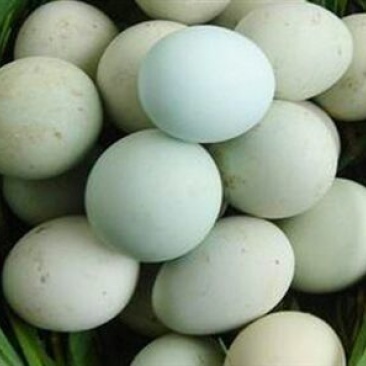 土鸡蛋食用50g以下