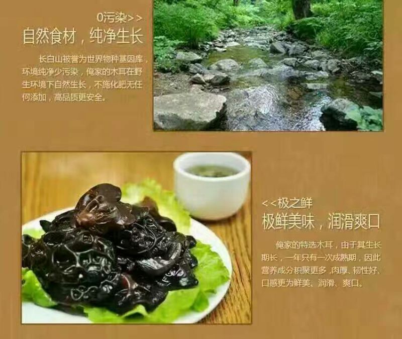 秋耳二级