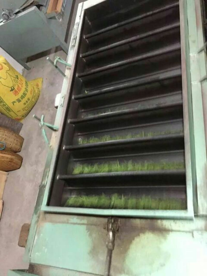本山茶一级