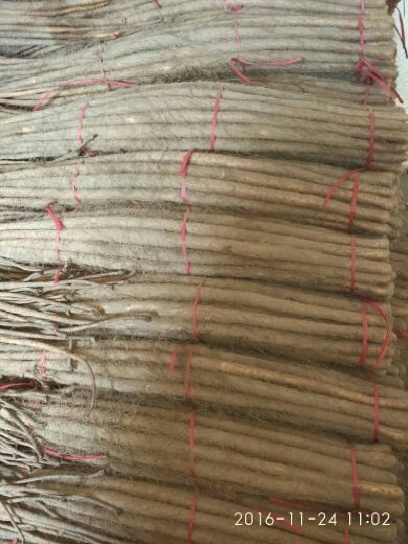 山东铁棍山药2~厘米一级40一70厘米，保质保量