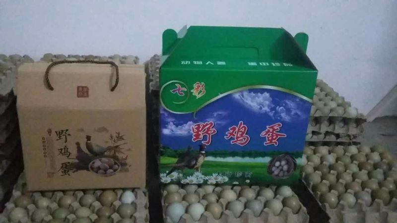 野鸡蛋食用50g以下