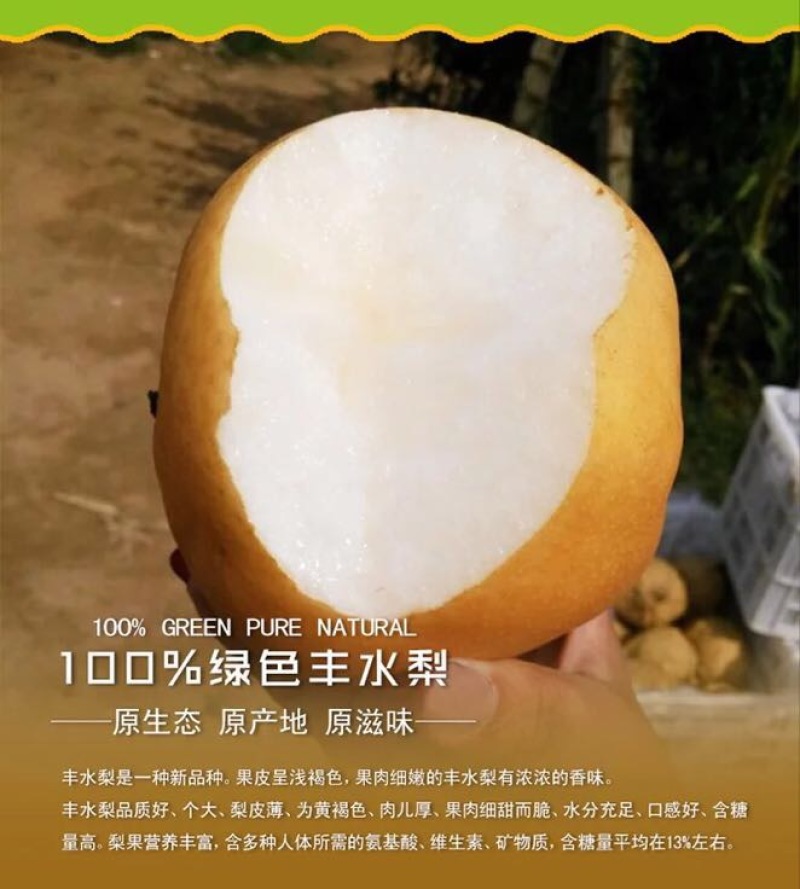 金翠香梨