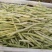 白不老15~20厘米