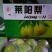 莱阳梨纸箱350~400g