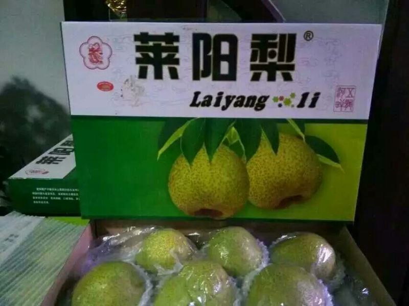 莱阳梨纸箱350~400g
