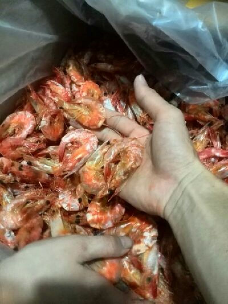 对虾干、对虾米