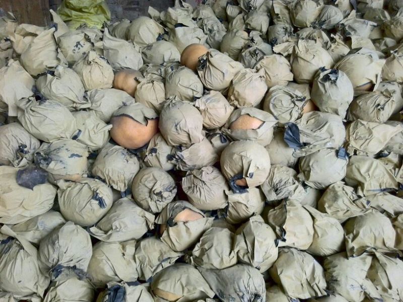 爱宕梨450~500g纸袋