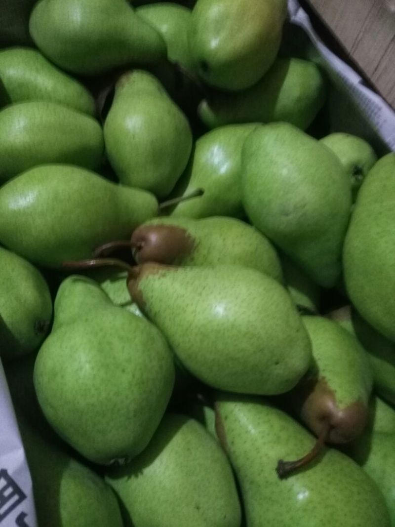 贵妃梨200~250g纸箱