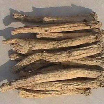 枸杞叶茶一级