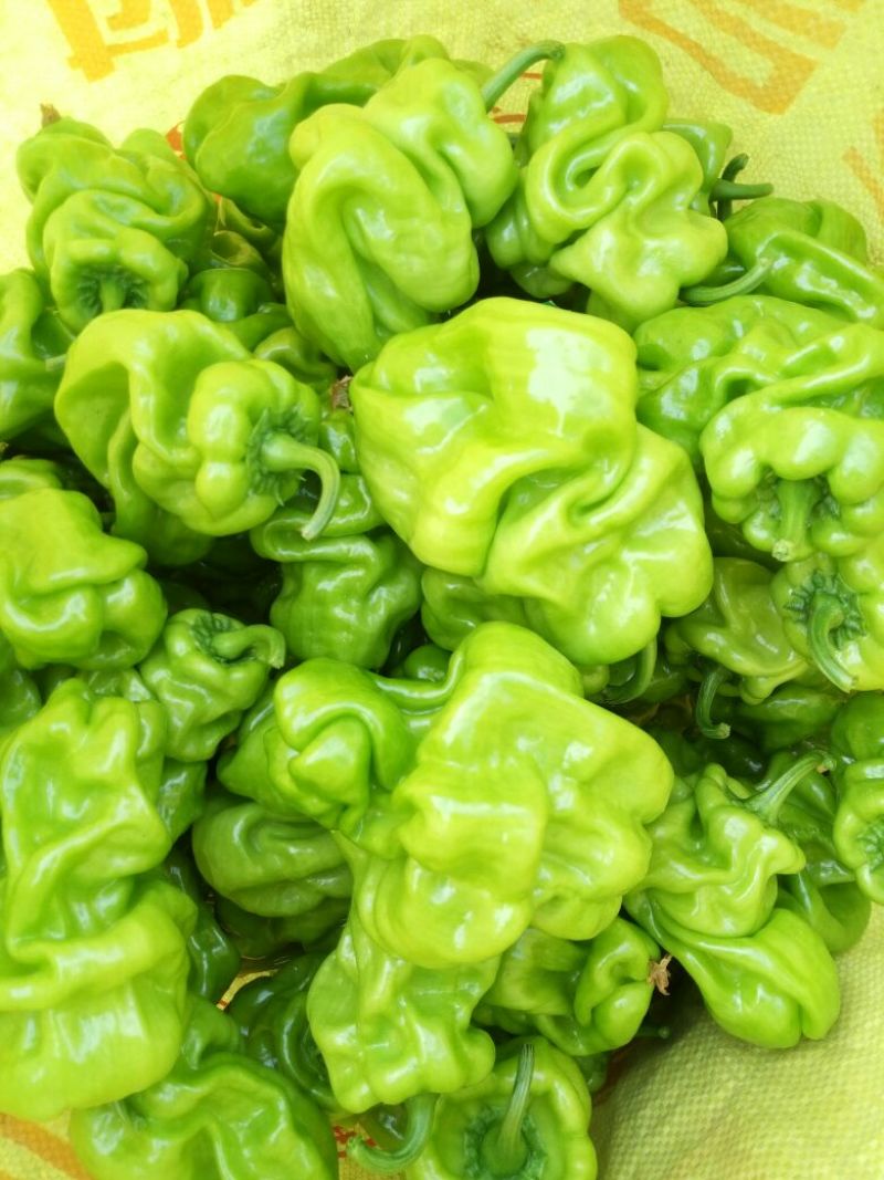 鲜辣椒