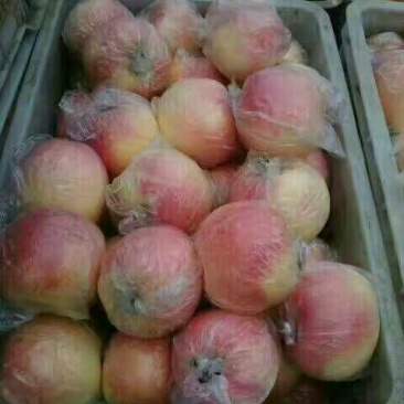 美八苹果膜袋