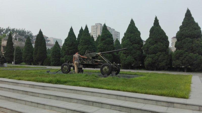 山核桃