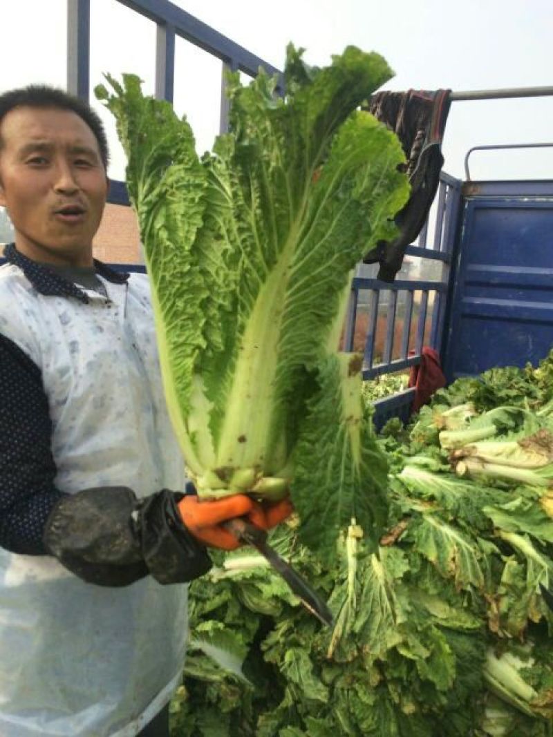 北京新三号