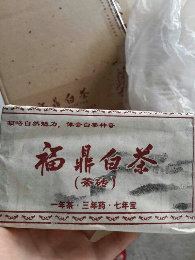 福鼎白茶