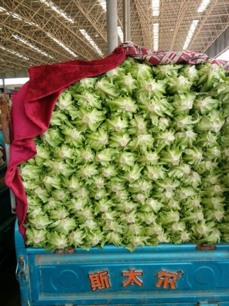 生菜3两~4两