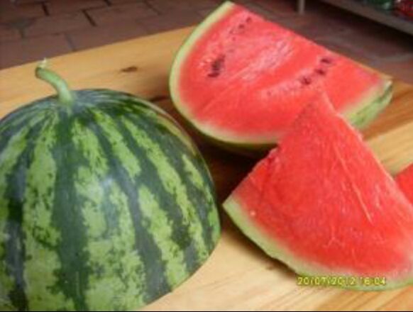 河南开封市杞县花皮无籽西瓜 15斤打底 9成熟