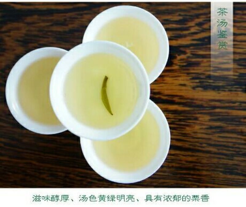 湄潭翠芽