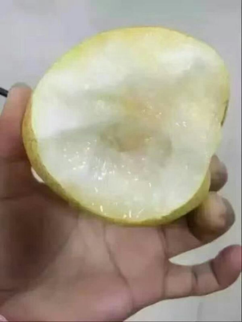 酥梨150~200g纸袋