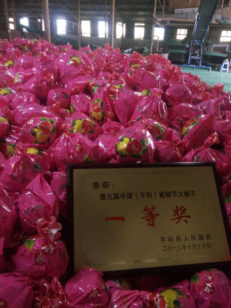 平和琯溪蜜柚1.8斤以上