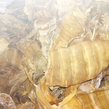 笋干淡笋干，比较干，火烤比较好