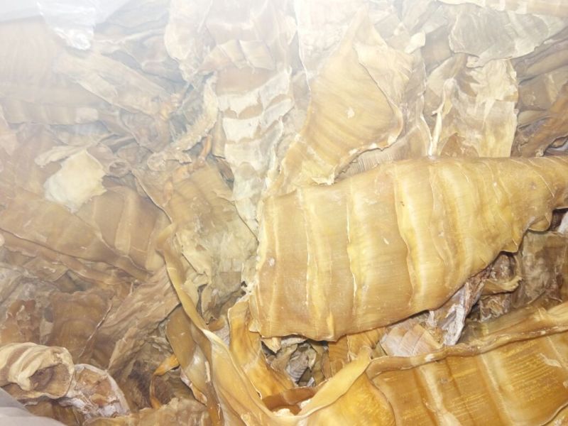 笋干淡笋干，比较干，火烤比较好