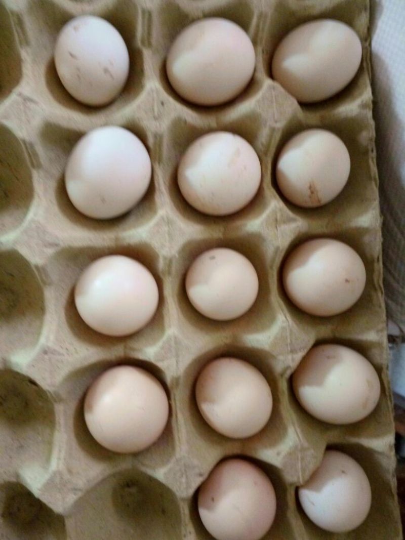 土鸡蛋食用50g以下