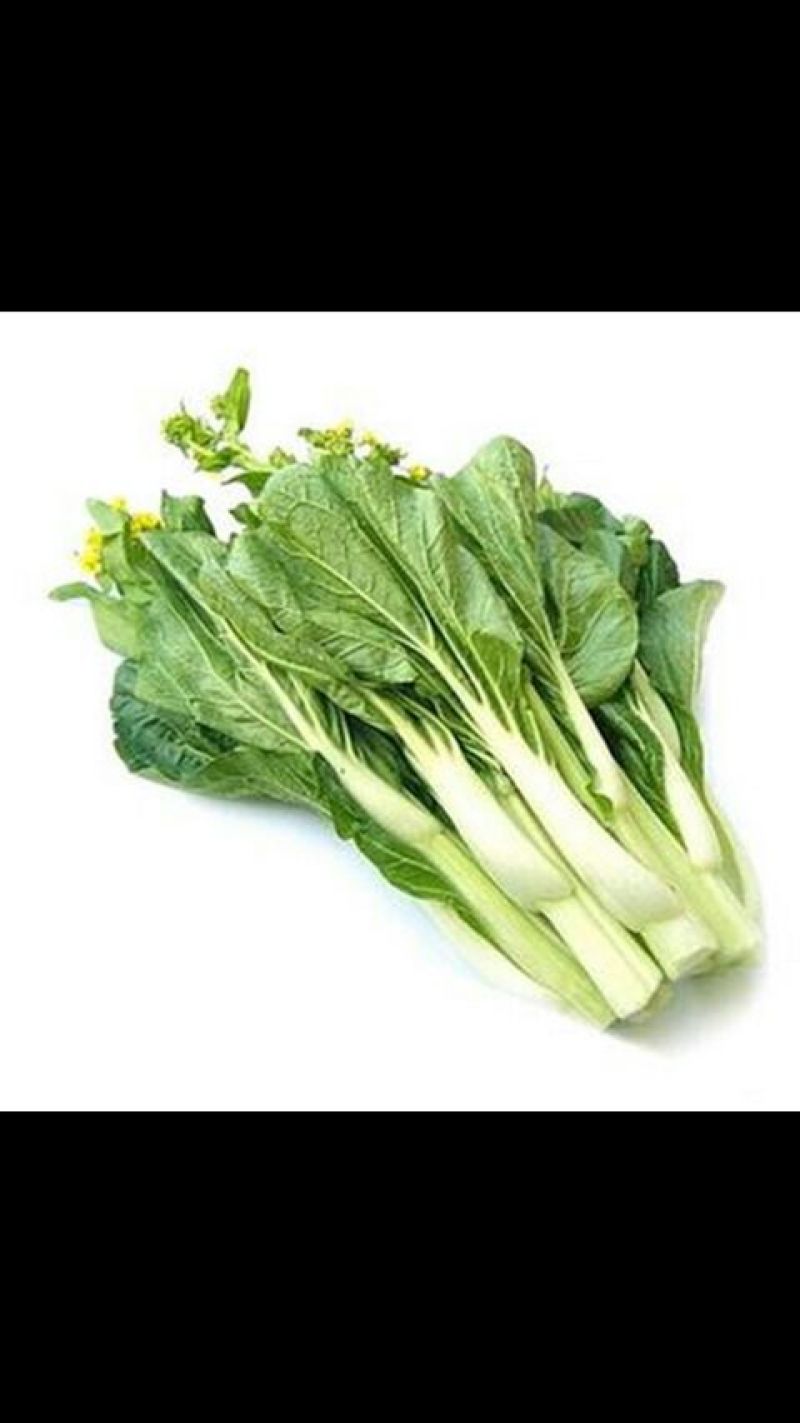 菜苔15~20厘米