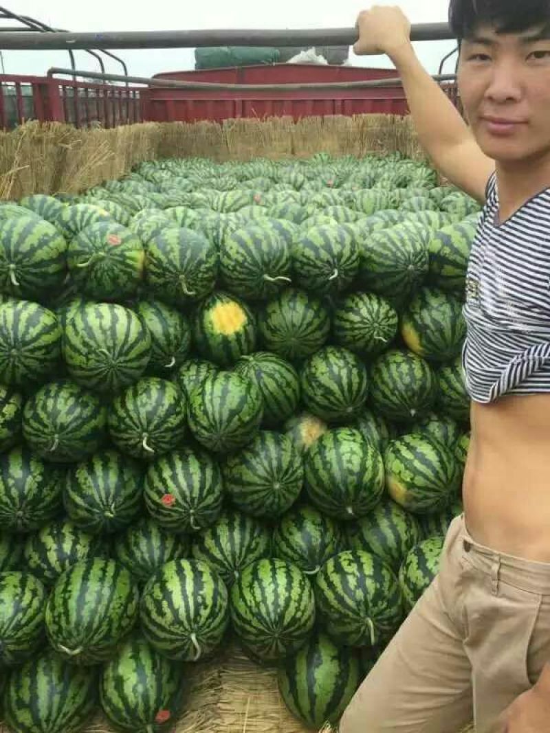 西瓜