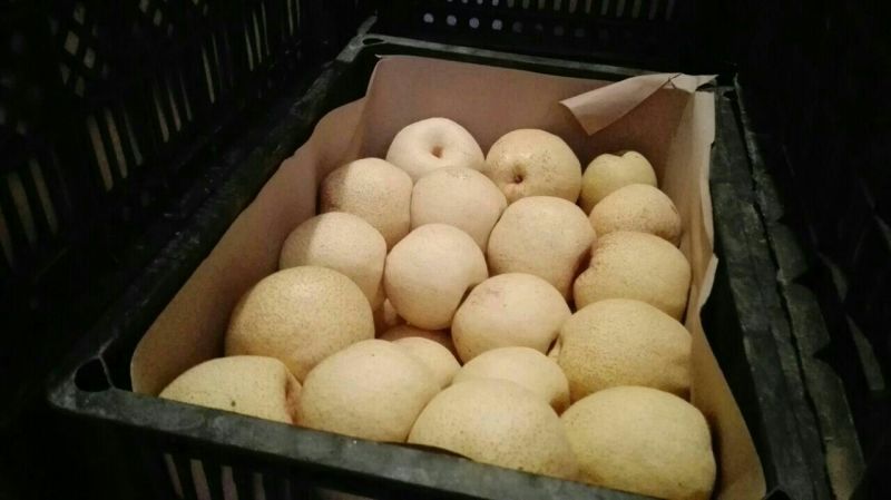 砀山梨300~350g纸箱