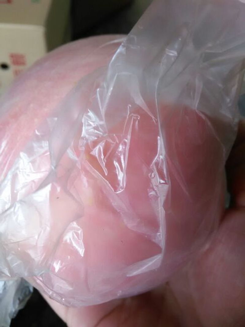 红富士苹果75mm以上膜袋