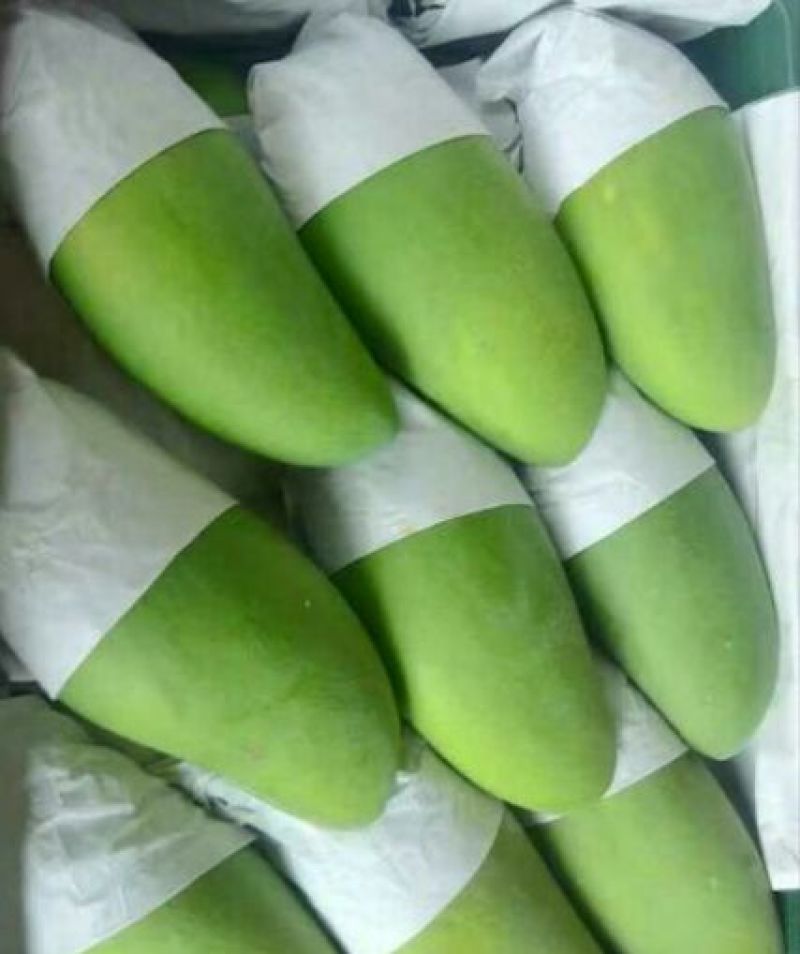 精品大青芒10量以上！口感香甜无酸！果肉细腻，粗纤维少