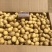 荷兰十五黄心黄心小土豆1两以下，油炸专用小土豆