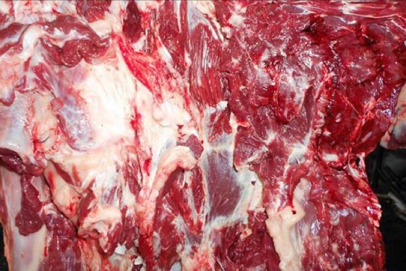 驴肉
