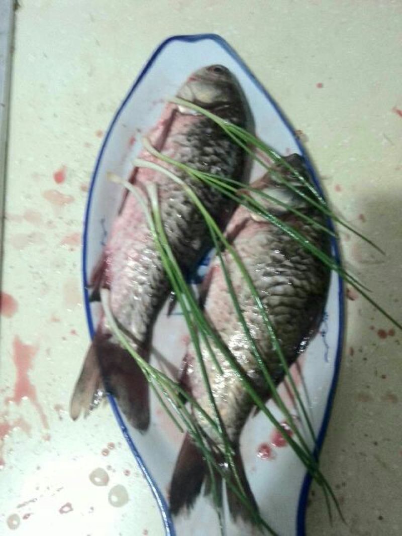 方正银鲫食用