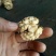 薄皮核桃30mm以上去皮干