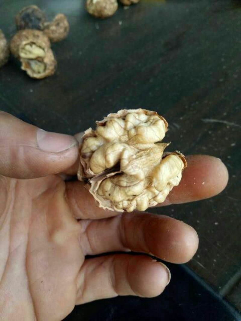 薄皮核桃30mm以上去皮干