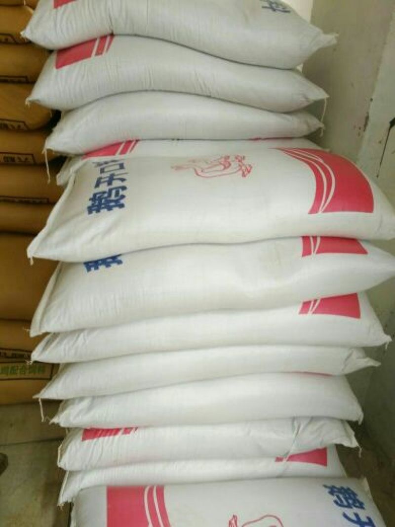 狮头鹅苗250g以下