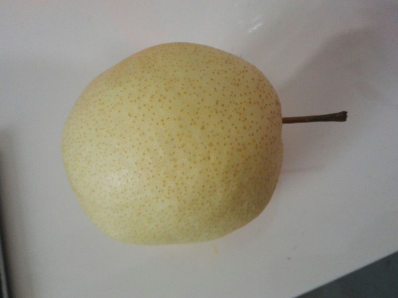 礼泉酥梨550~600g纸加膜