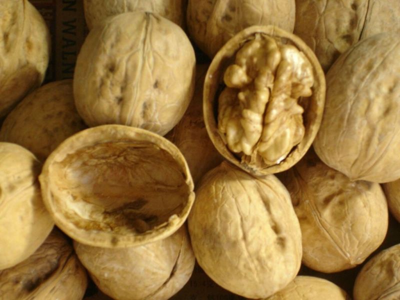新疆185核桃去皮干