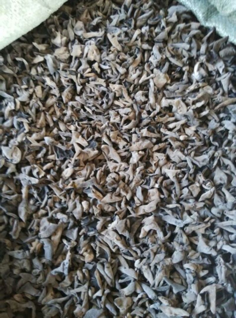干木耳一级