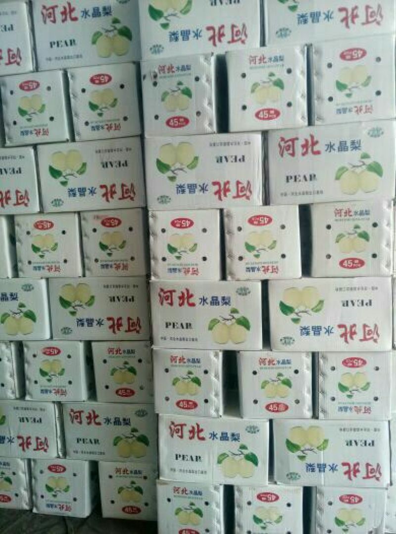 雪花梨400~450g纸箱