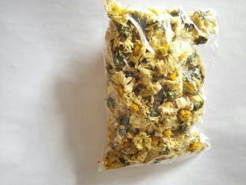 杭州白菊散装