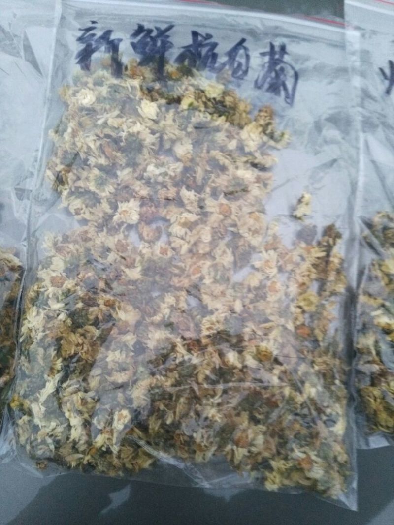 白菊花茶