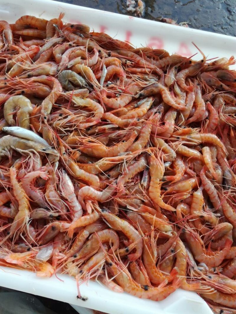 虾干一级