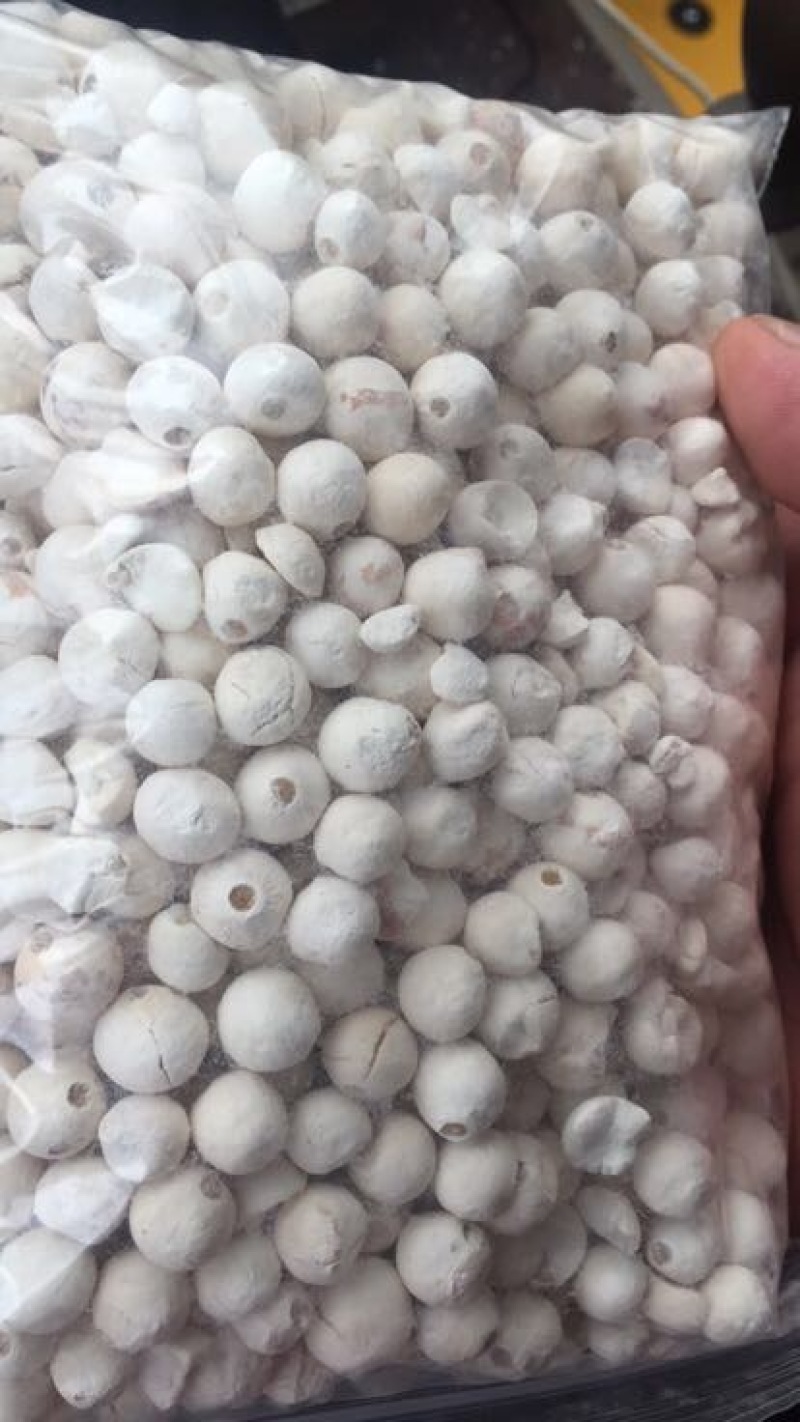 苏芡