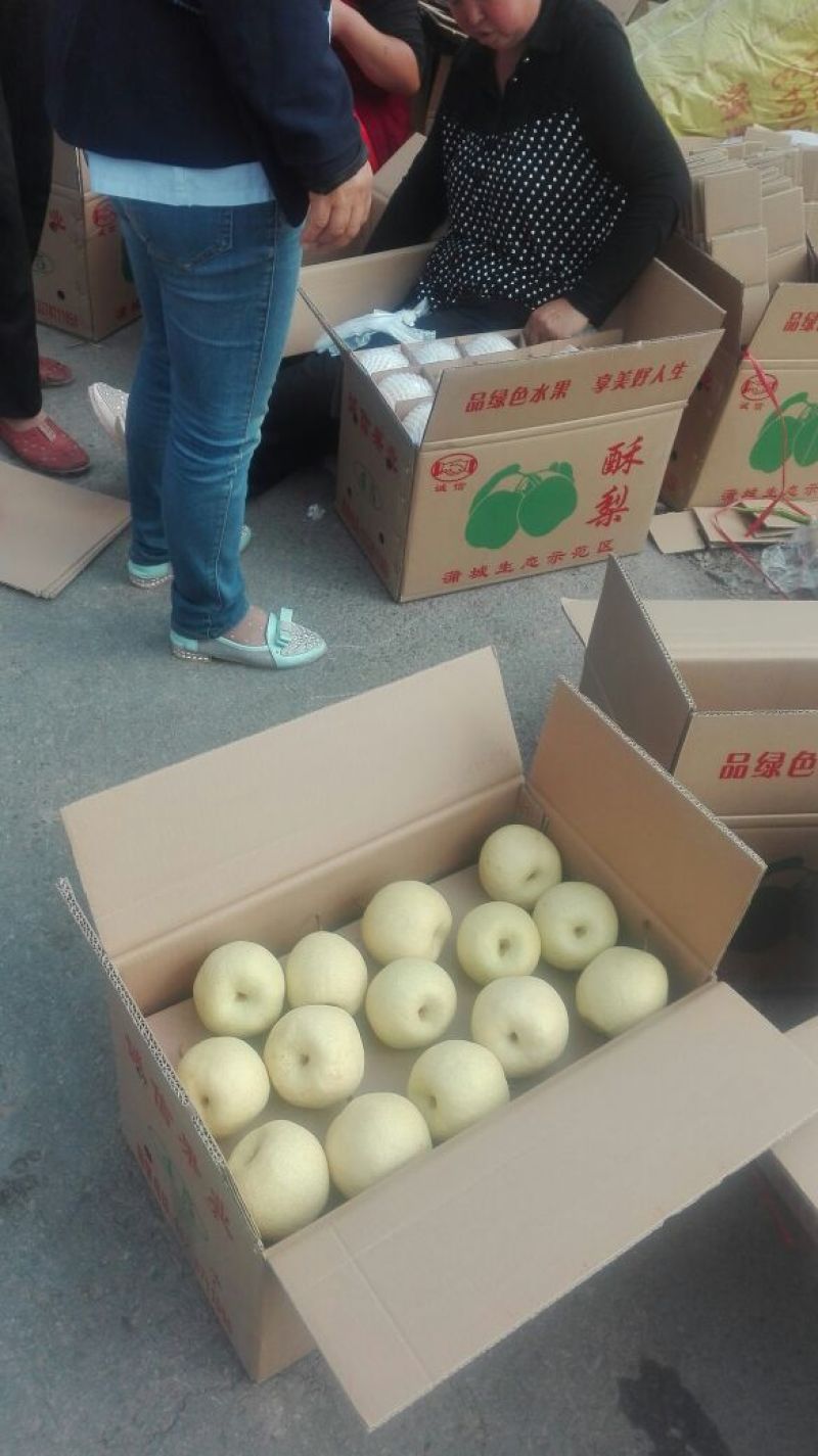 酥梨200~250g纸箱
